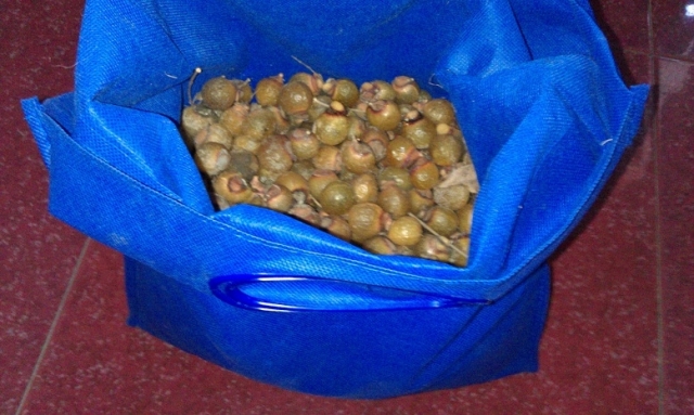 IMAG0278.jpg