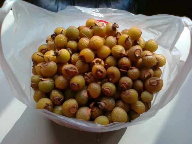 201211191139.jpg