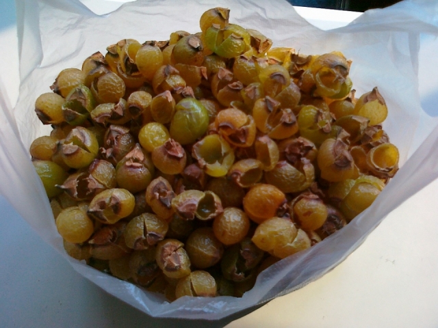201211191143.jpg