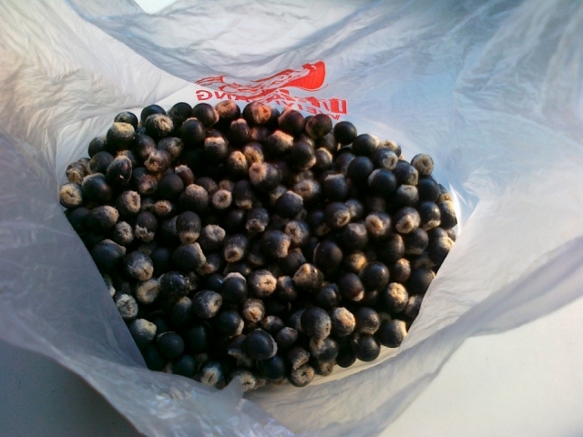 201211191142.jpg