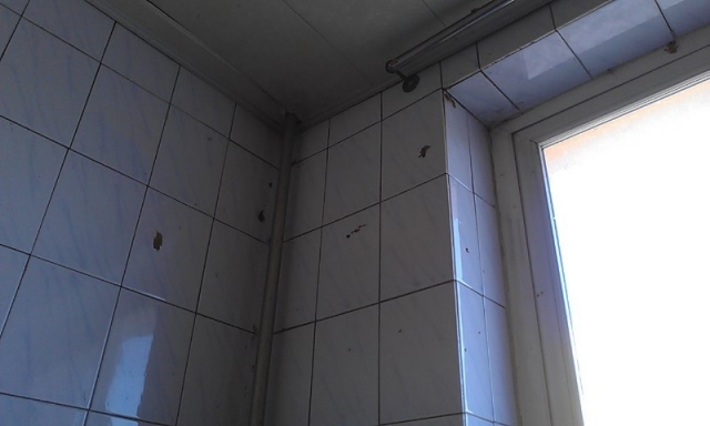 IMAG0441_800_480.jpg