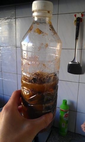 IMAG0439_360_600.jpg