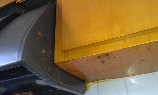 IMAG0437_800_480.jpg
