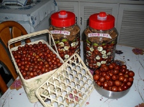 枣2.JPG