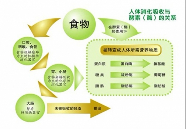 20110408054334313.jpg